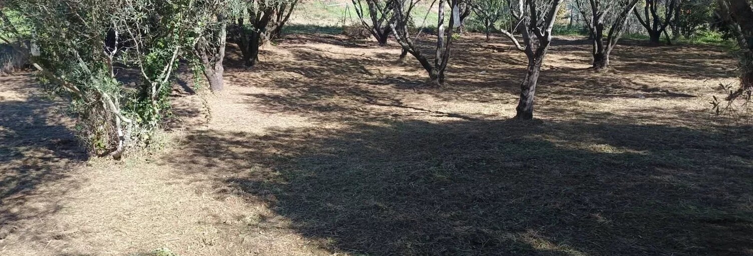 Terrain  1374 m² à vendre à Petreto-Bicchisano (20140)