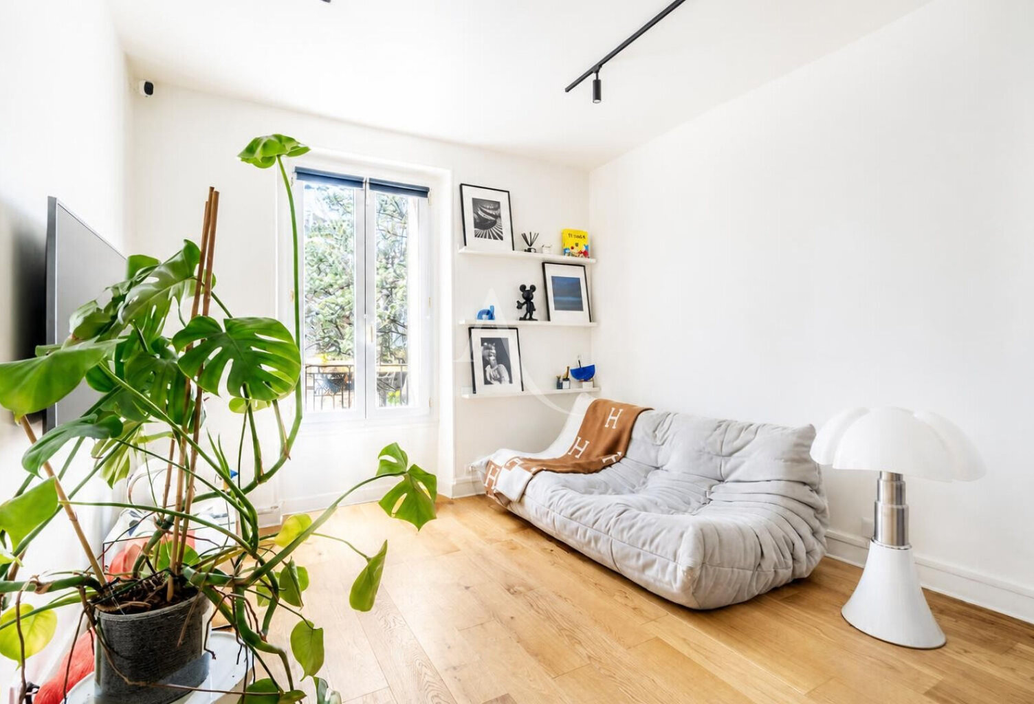 Studio avec mezzanine — photo 1