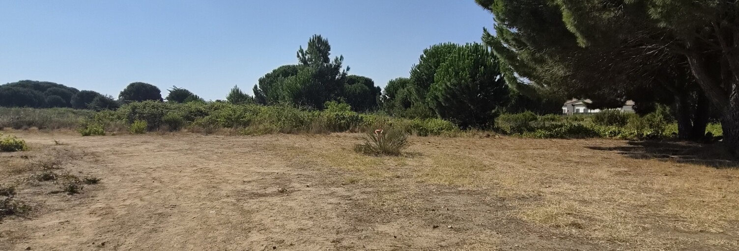Terrain  960 m² à vendre à Latour-Bas-Elne (66200)