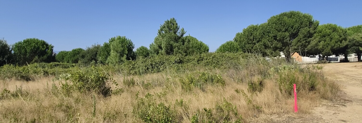 Terrain  276 m² à vendre à Latour-Bas-Elne (66200)