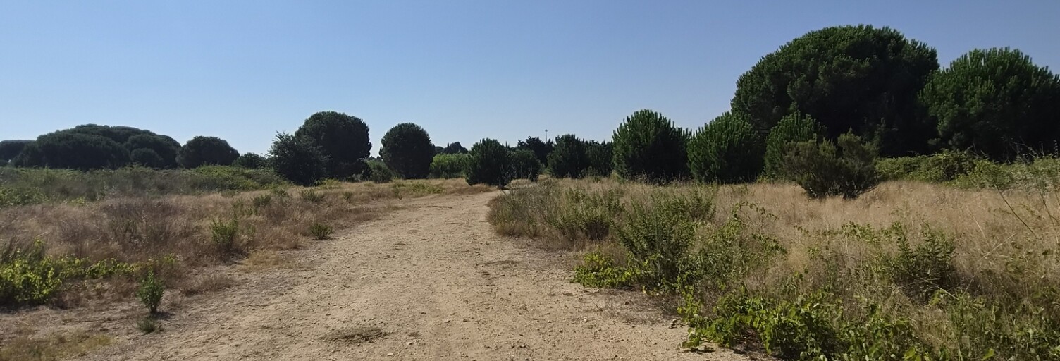 Terrain  433 m² à vendre à Latour-Bas-Elne (66200)