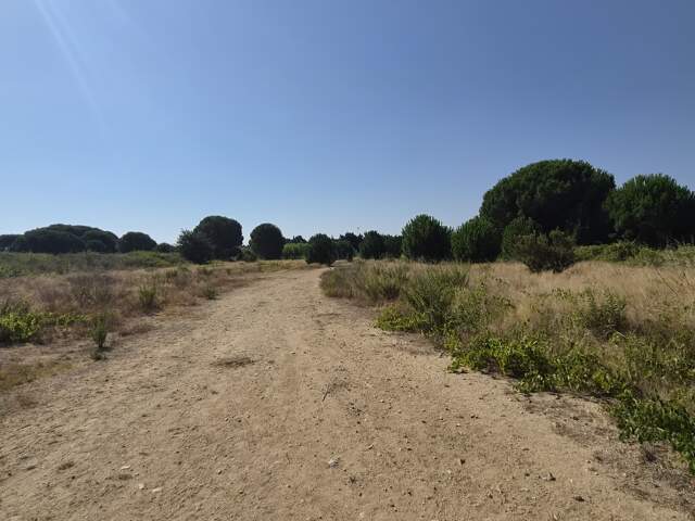 Vente Terrain 433 m&sup2; — photo du bien