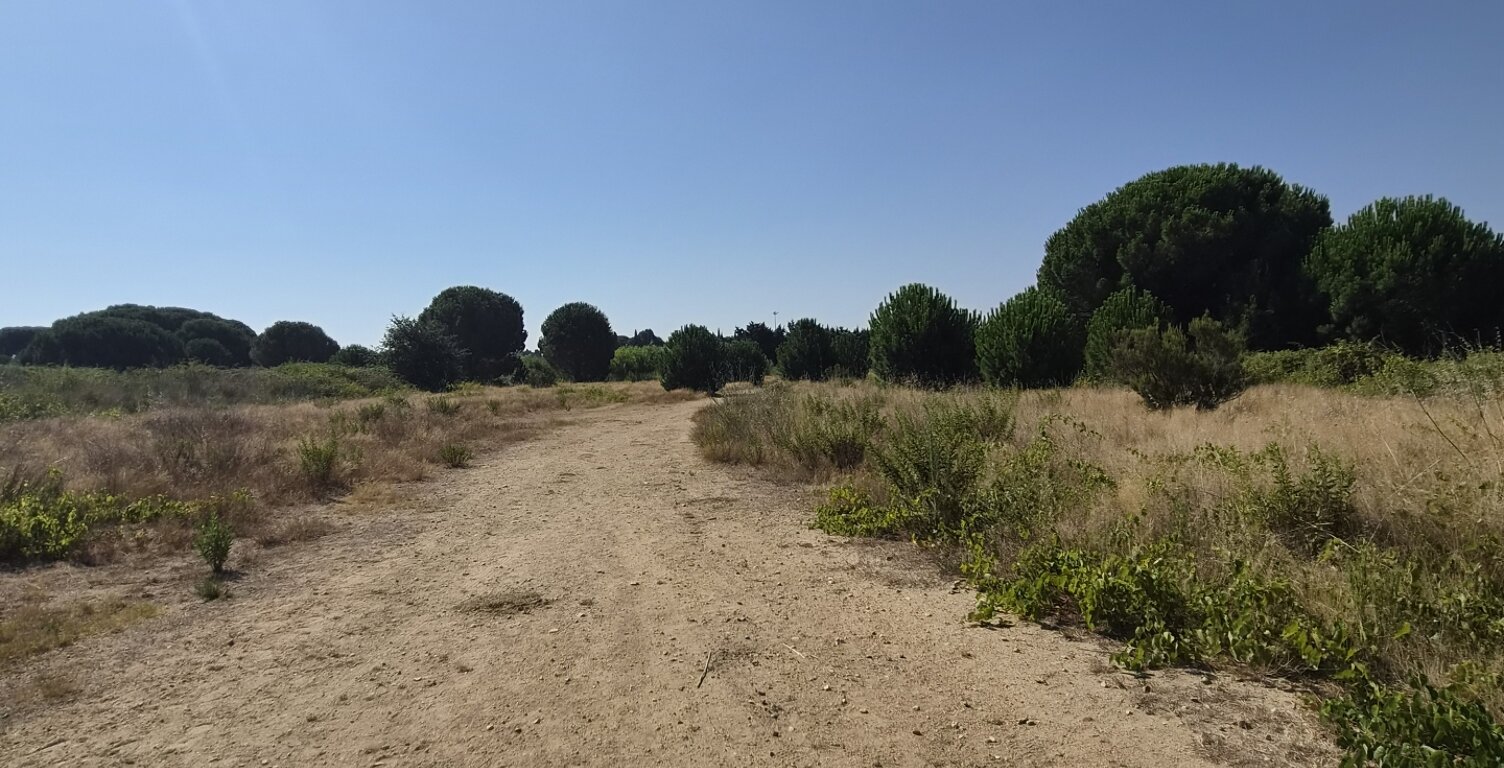 Vente Terrain 433 m&sup2; — photo 1