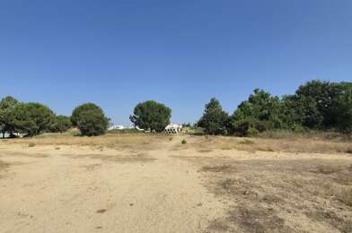 Terrain  234000 €