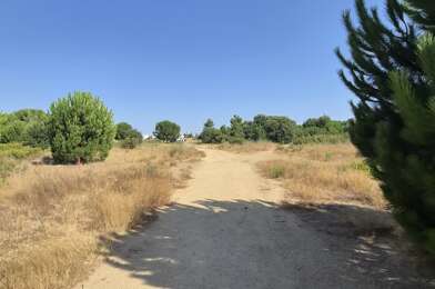Terrain  259000 €