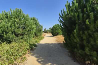 Terrain  171000 €