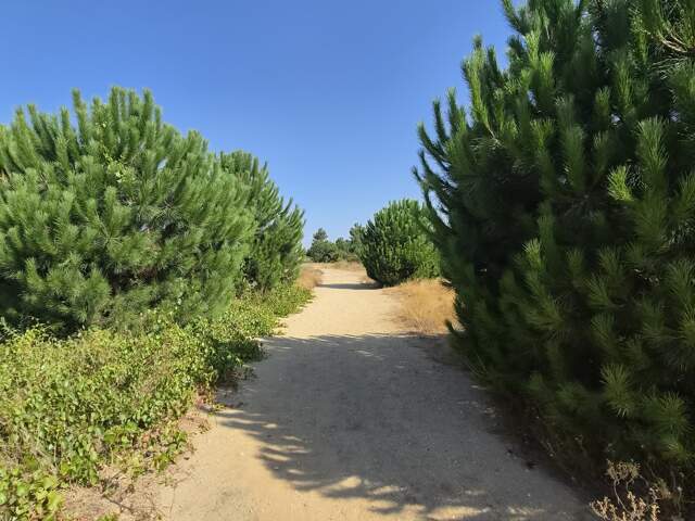 Vente Terrain 343 m&sup2; — photo du bien
