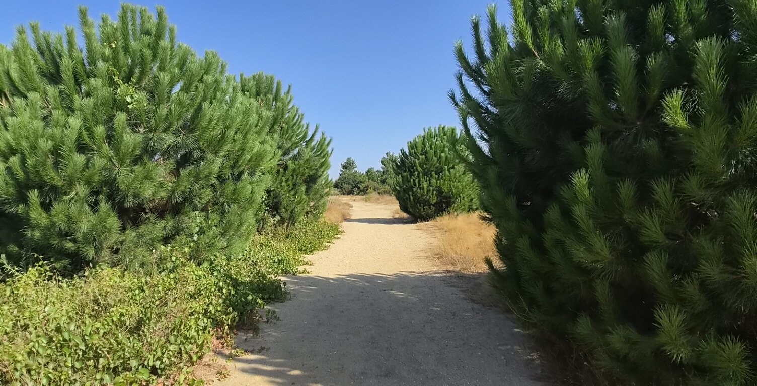 Vente Terrain 343 m&sup2; — photo 1