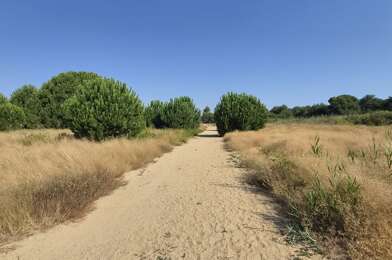 Terrain  99000 €