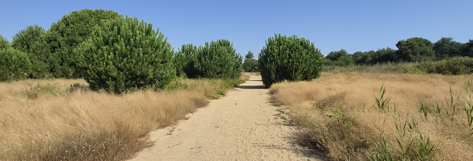 Terrain  190 m² à vendre à Latour-Bas-Elne (66200)