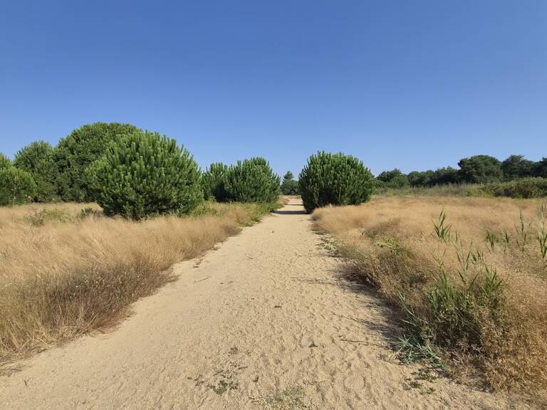 Vente Terrain 190 m&sup2; — photo 1