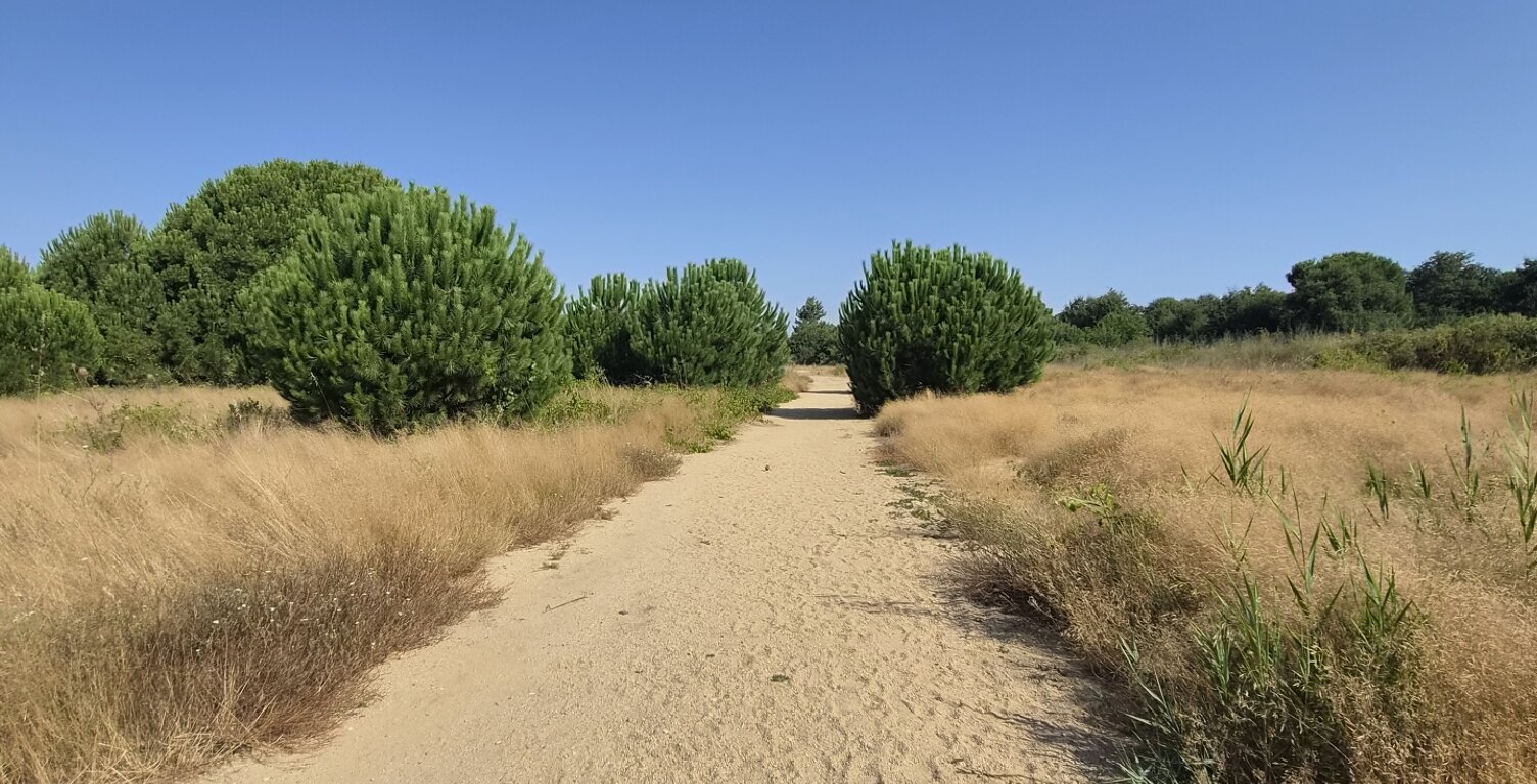Vente Terrain 190 m&sup2; — photo 1