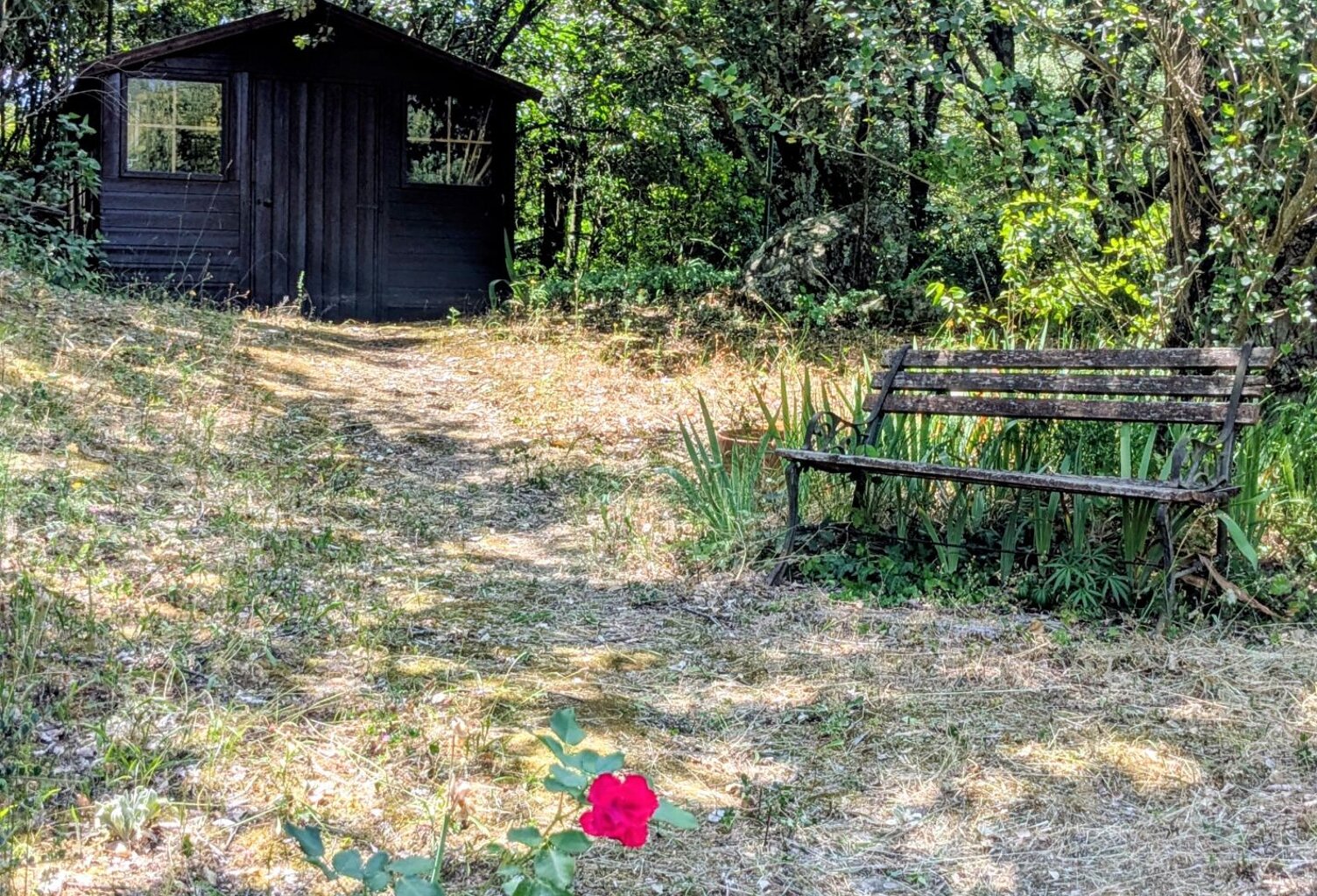 Maison avec piscine, beau jardin et belle — photo 1