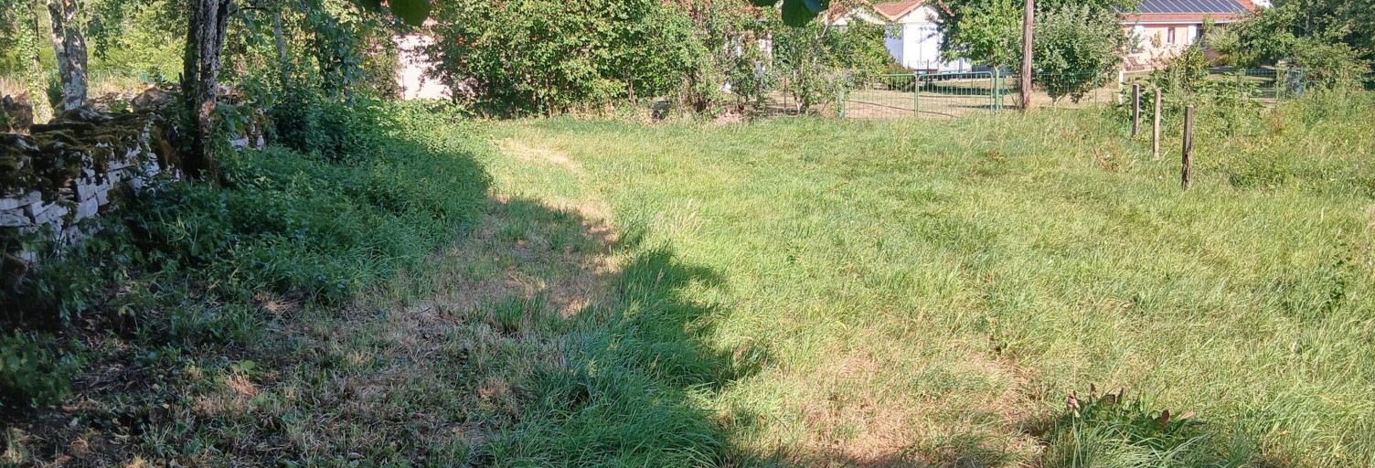 Photo N° 2