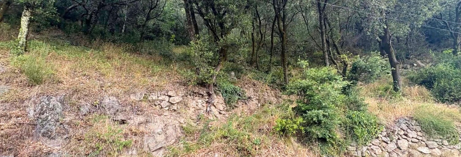 Terrain  45743 m² à vendre à Vals-les-Bains (07600)