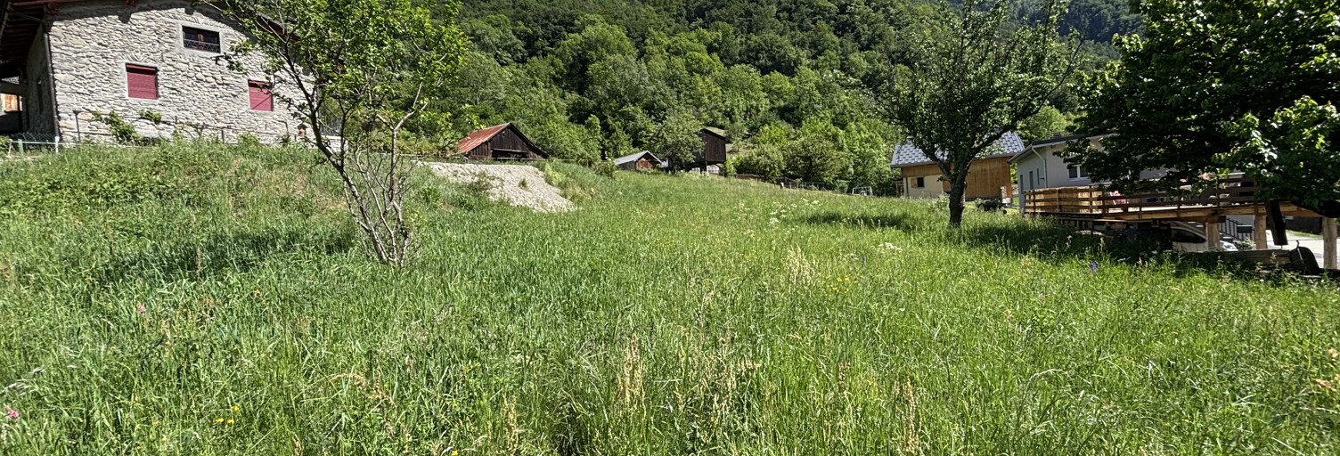 Photo N° 2