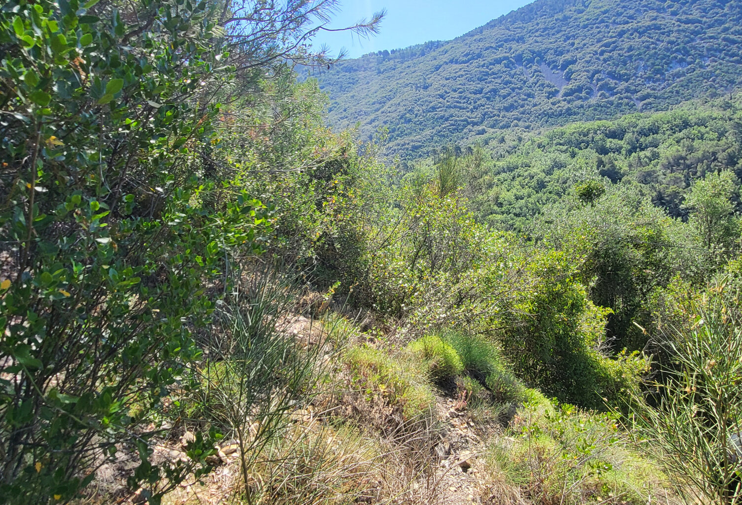 Terrain de loisir (non constructible) - Peille - 6.600m2 — photo 1