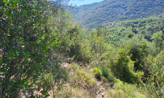 Terrain  6696 m² à vendre à Peille (06440)
