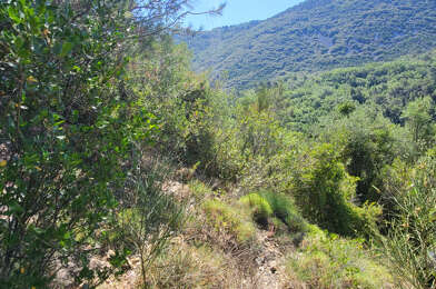 Terrain  28000 €