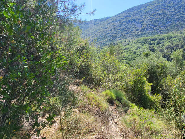 Terrain de loisir (non constructible) - Peille - 6.600m2 — photo du bien