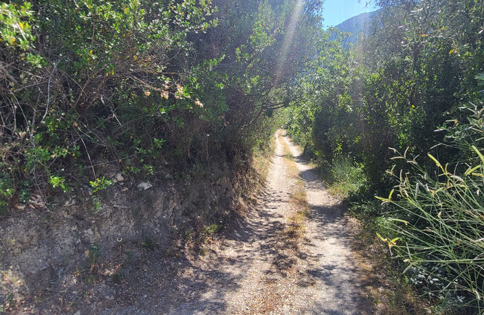 Terrain de loisir (non constructible) - Peille - 6.600m2 — photo 3