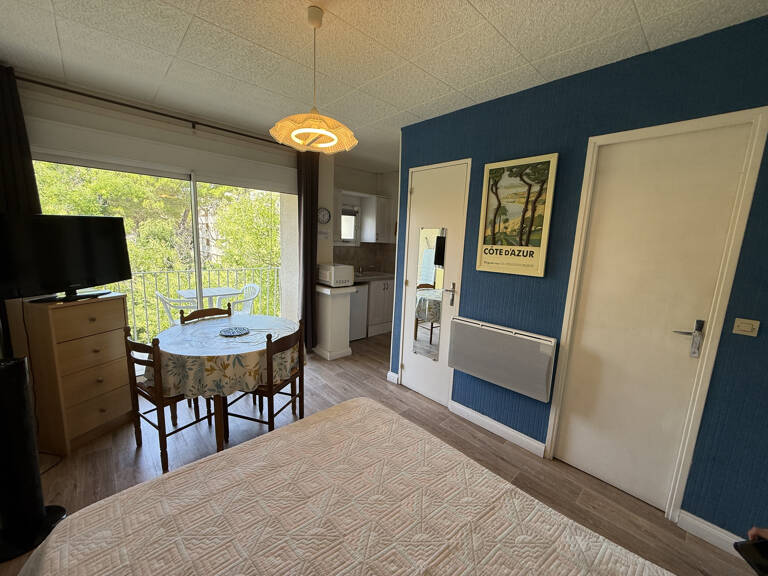Studio très bien entretenu, idéal investisseur. — photo 1
