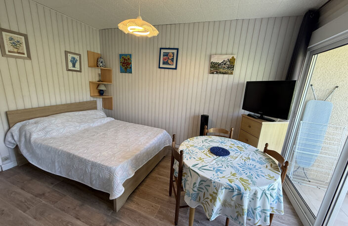 Studio très bien entretenu, idéal investisseur. — photo 3
