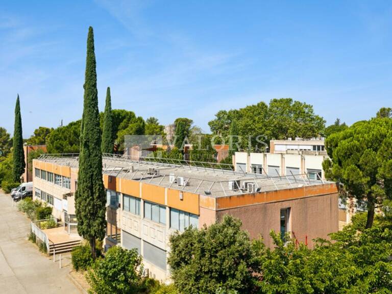 BUREAUX à LOUER — photo 1
