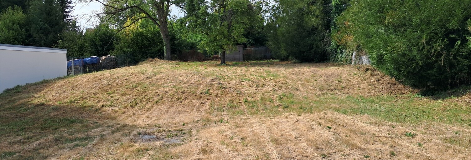 Terrain  1036 m² à vendre à Isse (51150)