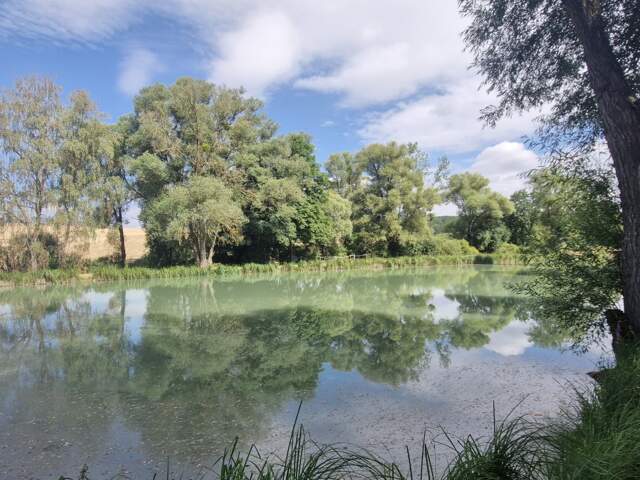 Vente Terrain 13 840 m&sup2; — photo du bien