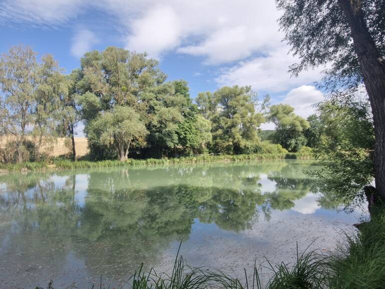 Vente Terrain 13 840 m&sup2; — photo 1
