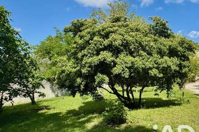 Terrain  109000 €