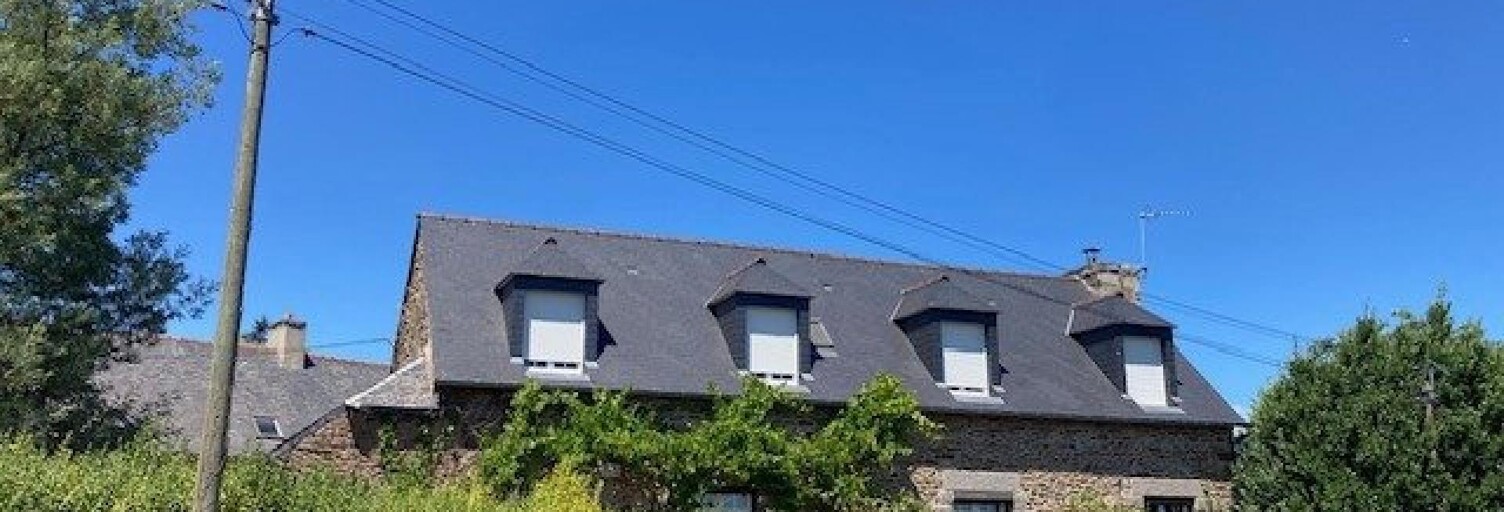Maison 14 Pièces 310 m² à vendre à Saint-Donan (22800)