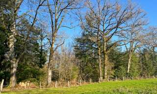 Terrain  9300 m² à vendre à Cognac-la-Forêt (87310)