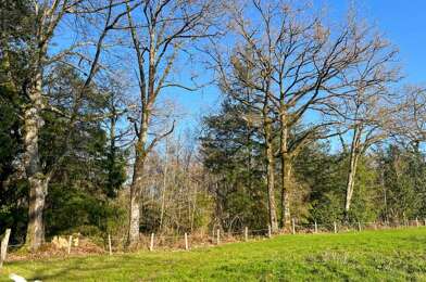 Terrain  10000 €
