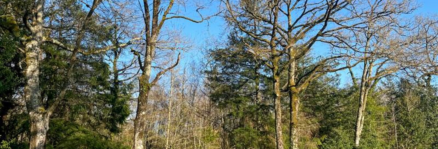 Terrain  9300 m² à vendre à Cognac-la-Forêt (87310)