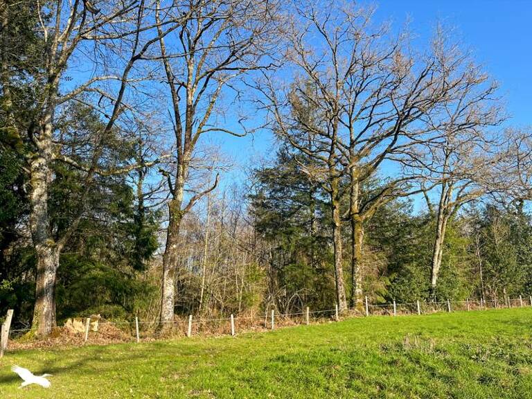Forêt de 0 pièces principales — photo 1