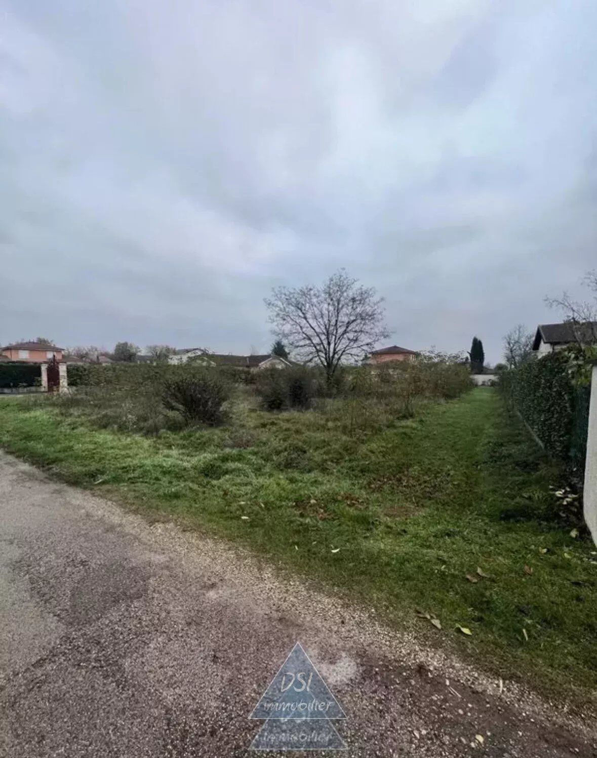Agence immobilière de DSI