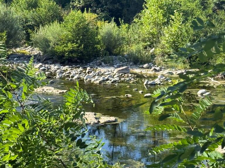 CAMPING SUD ARDECHE À Vendre — photo 1