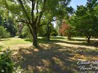Magnifique propriete de caractère à vendre 6 pièces PUYLAURENS — photo 4