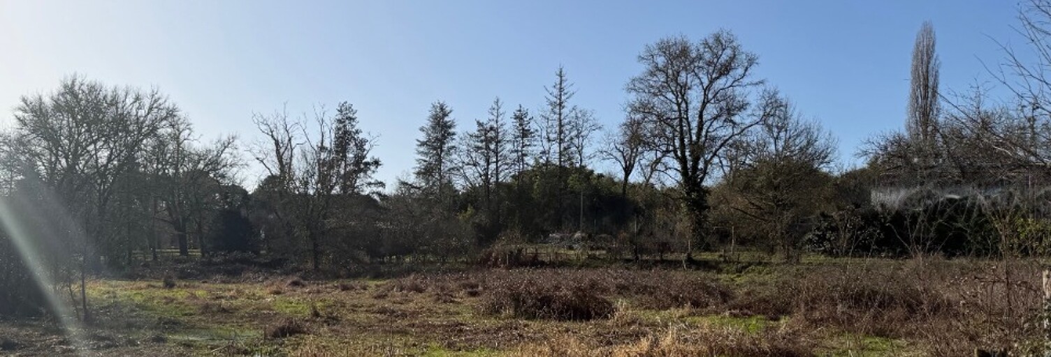 Terrain  1150 m² à vendre à Noaillan (33730)