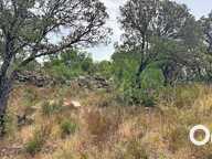 Terrain à bâtir avec permis purgé — photo 2