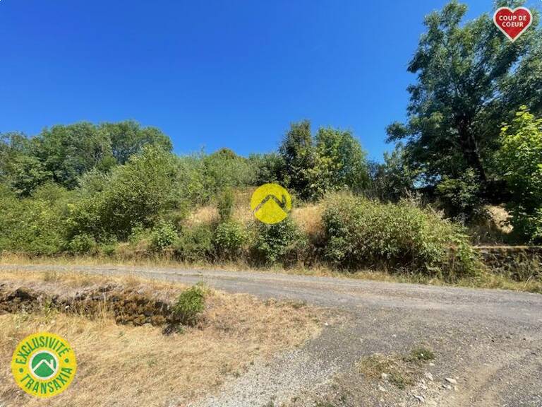 TERRAIN — photo 1