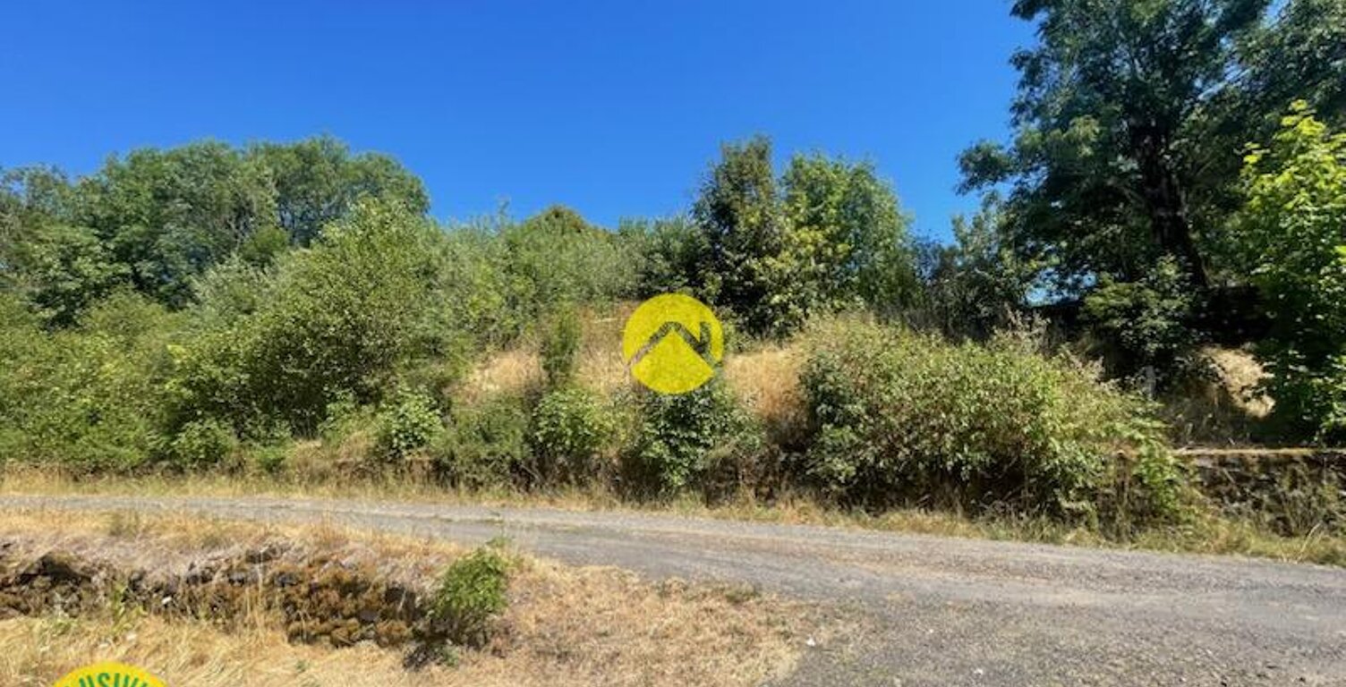 TERRAIN — photo 1