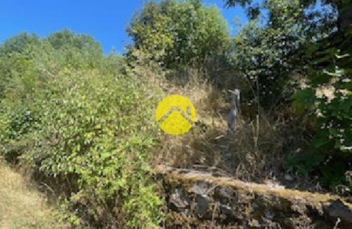 TERRAIN — photo 2