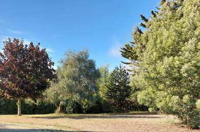 Terrain  363825 €