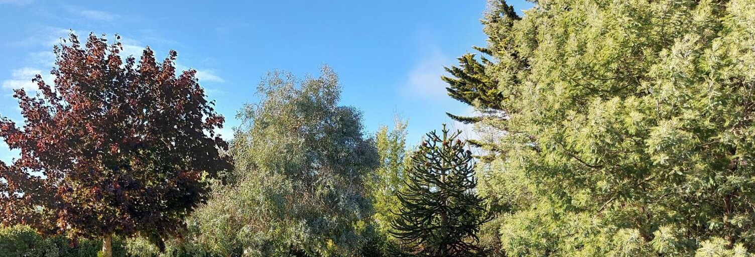 Terrain  1062 m² à vendre à Arzon (56640)