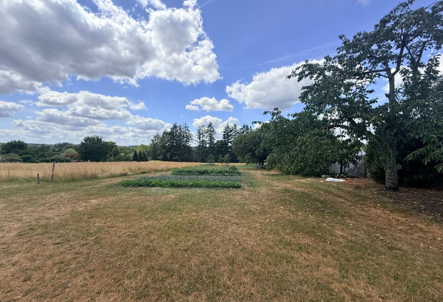 Terrain À Vendre — photo 1