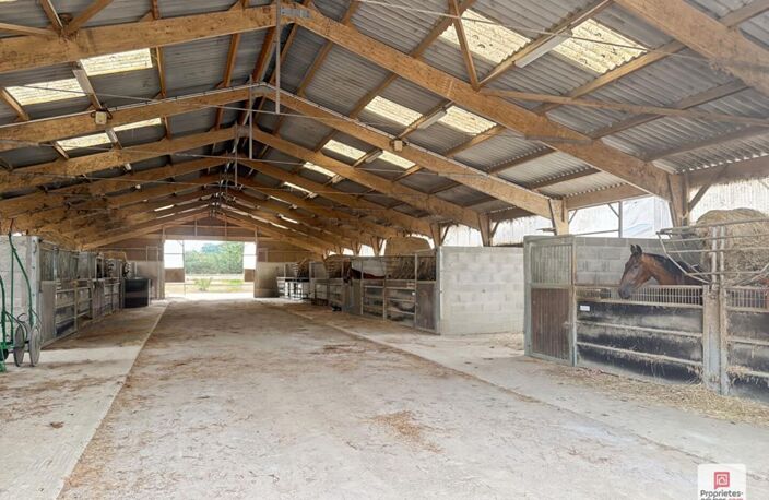 Propriété equestre Erdre En Anjou 7 pièce(s) 169 m2 — photo 2