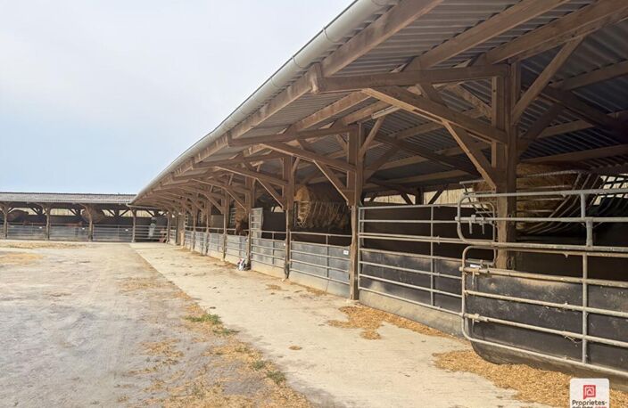 Propriété equestre Erdre En Anjou 7 pièce(s) 169 m2 — photo 3